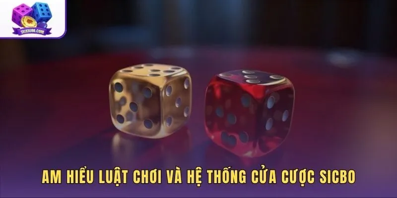 Đánh giá sảnh Sicbo qua cấu trúc bàn cược chi tiết