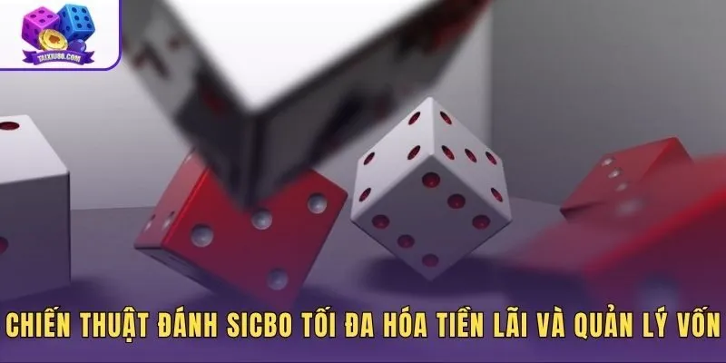 Đánh giá sảnh Sicbo cùng chiến thuật quản lý tiền cược