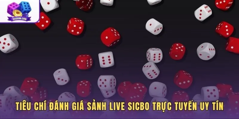 Đánh giá sảnh Sicbo trực tuyến qua chất lượng đường truyền